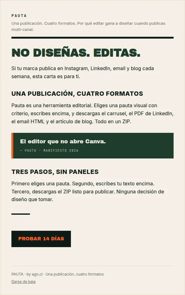 Vista previa del template Brutalist en formato Email